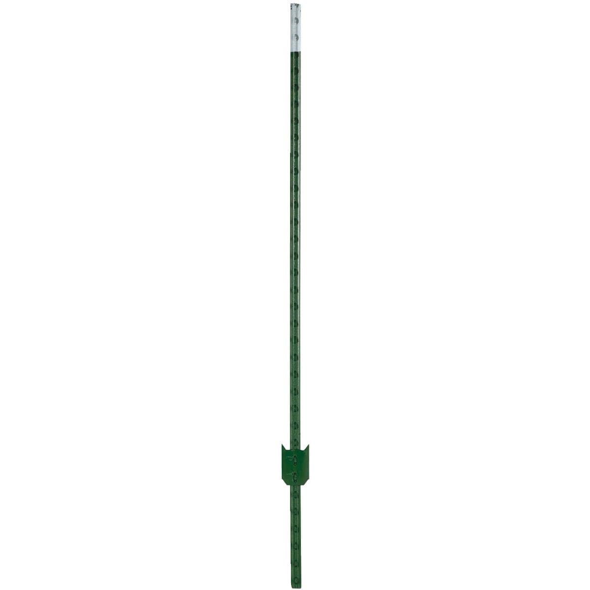 Picture of W. Silver T-Post