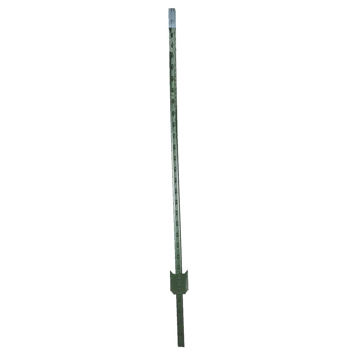 Picture of W. Silver T-Post
