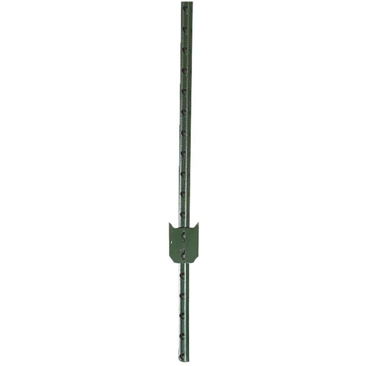 Picture of W. Silver T-Post
