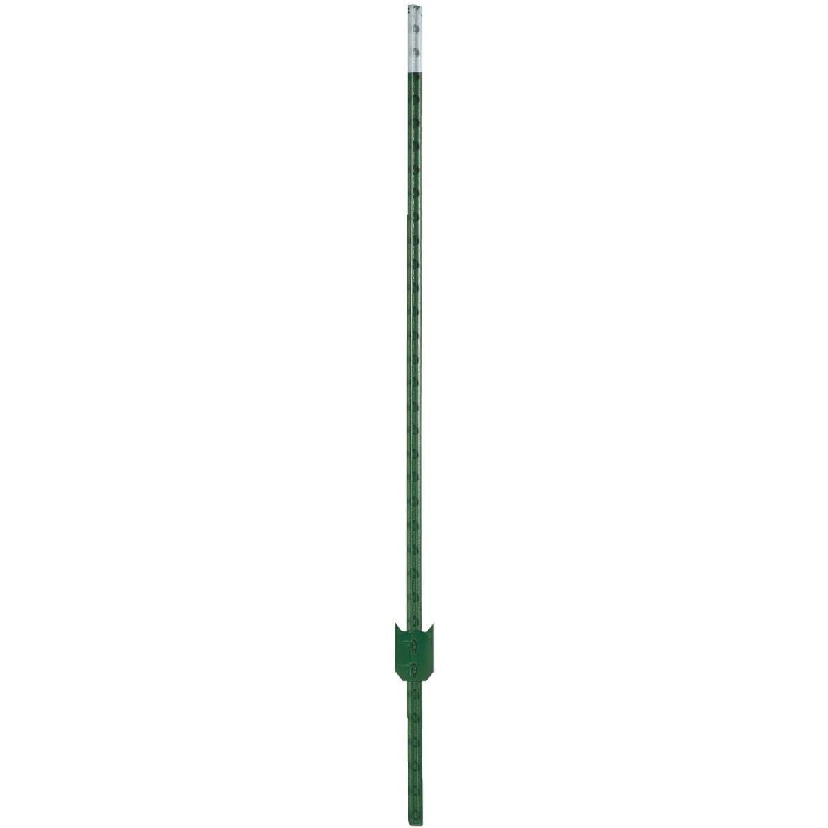 Picture of W. Silver T-Post