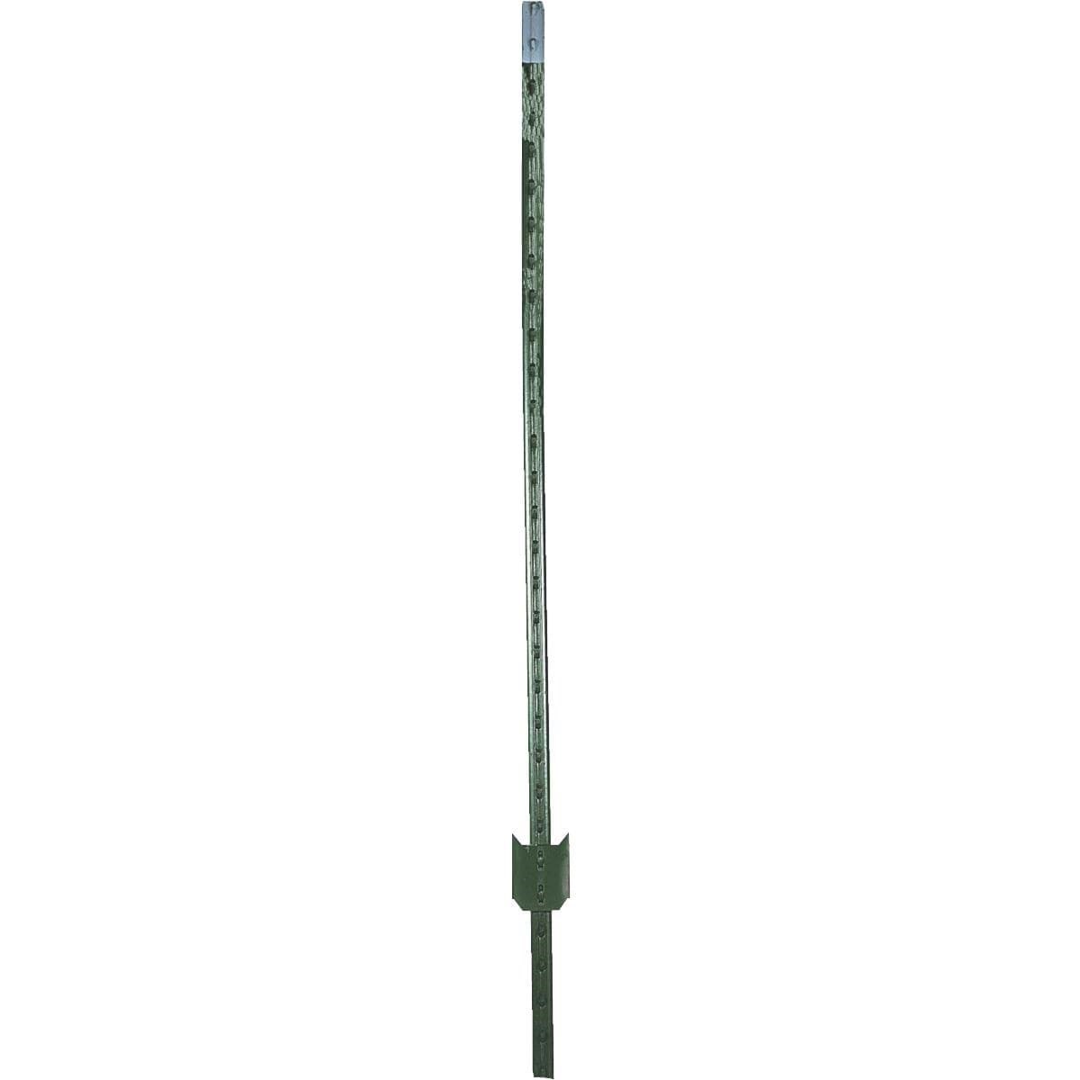 Picture of W. Silver T-Post