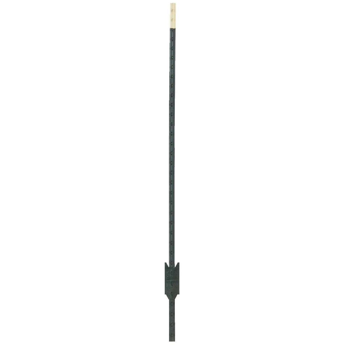 Picture of Painted Steel Fence T-Post