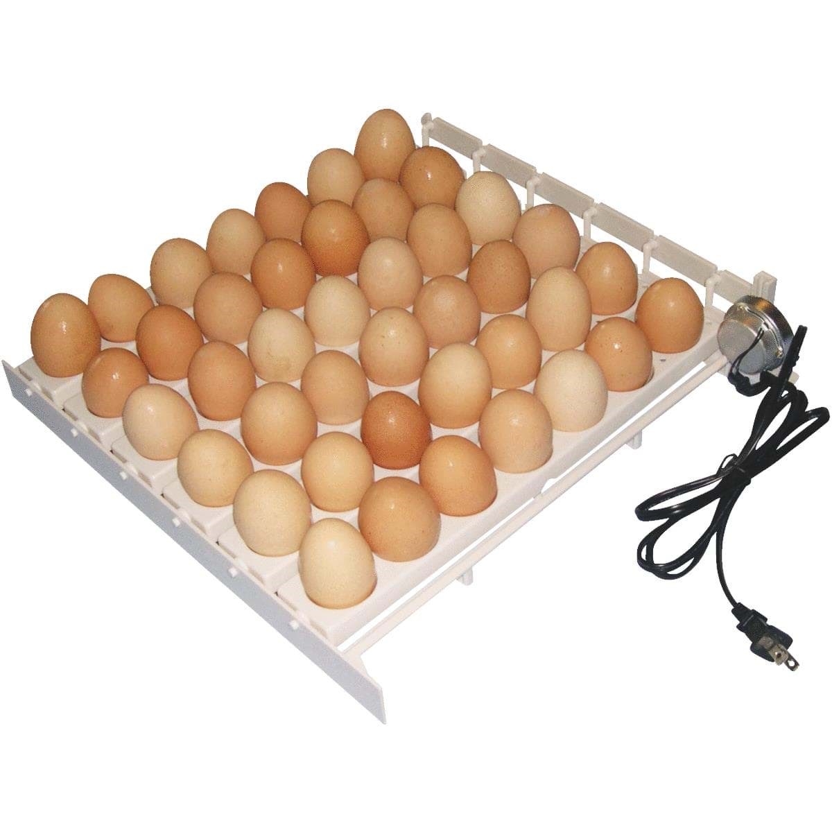 Picture of Farm Innovators Automatic Egg Turner