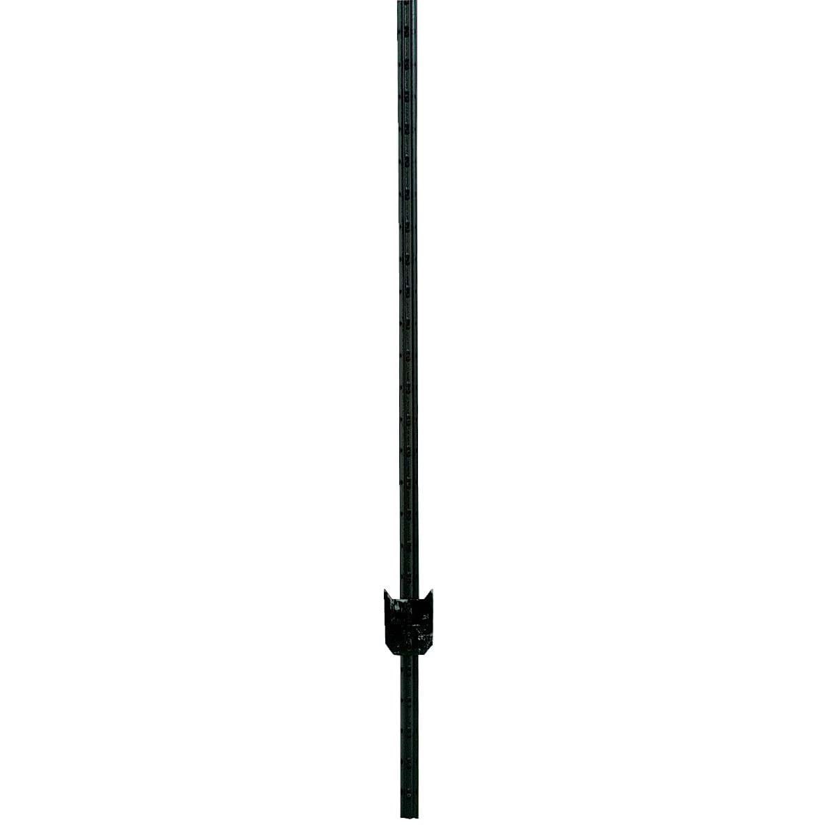 Picture of W. Silver T-Post