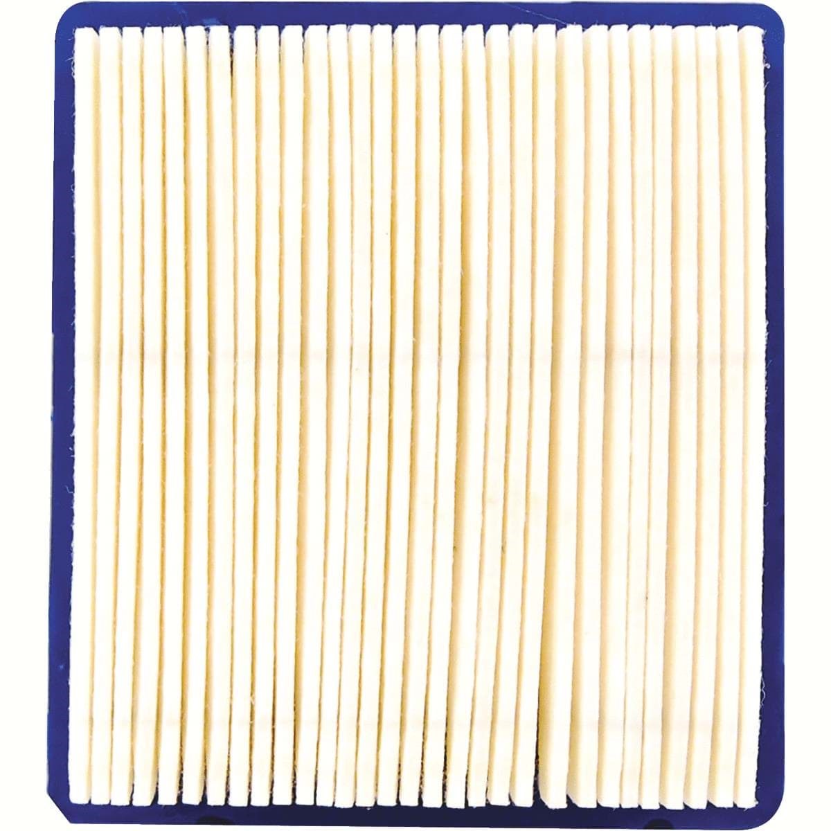 Picture of Arnold Tecumseh 5 To 5.5 HP Vector Engine Air Filter