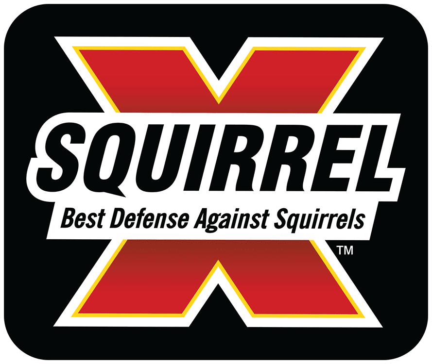 Picture for manufacturer Squirrel-X