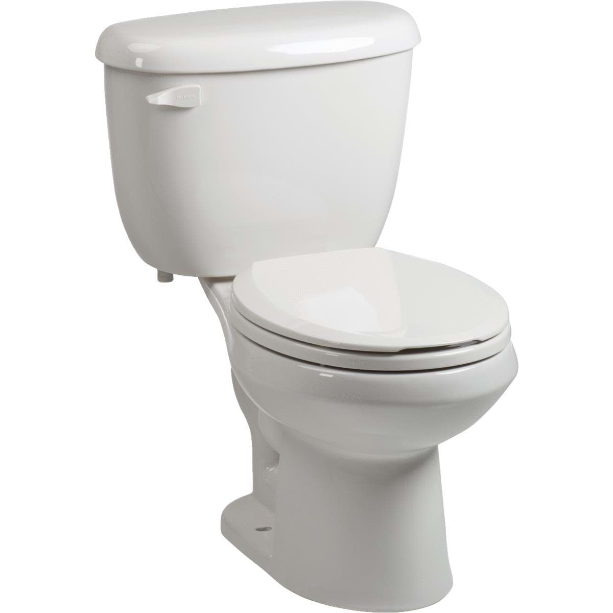 Picture of Briggs Toilet Express