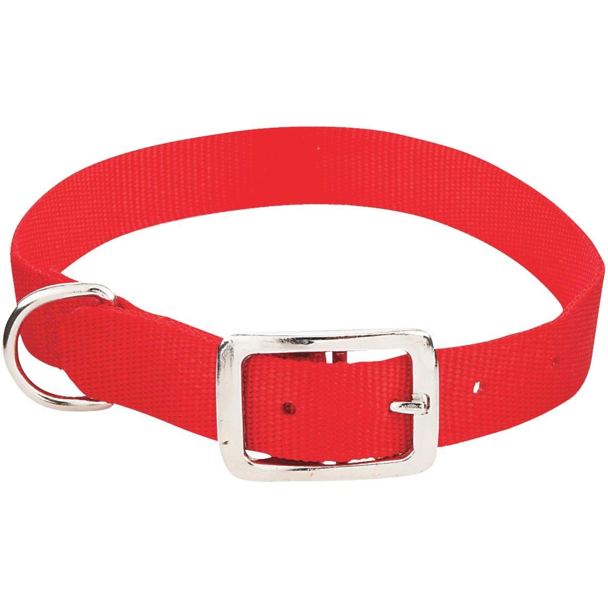 Picture of Westminster Pet Ruffin' it Nylon Dog Collar