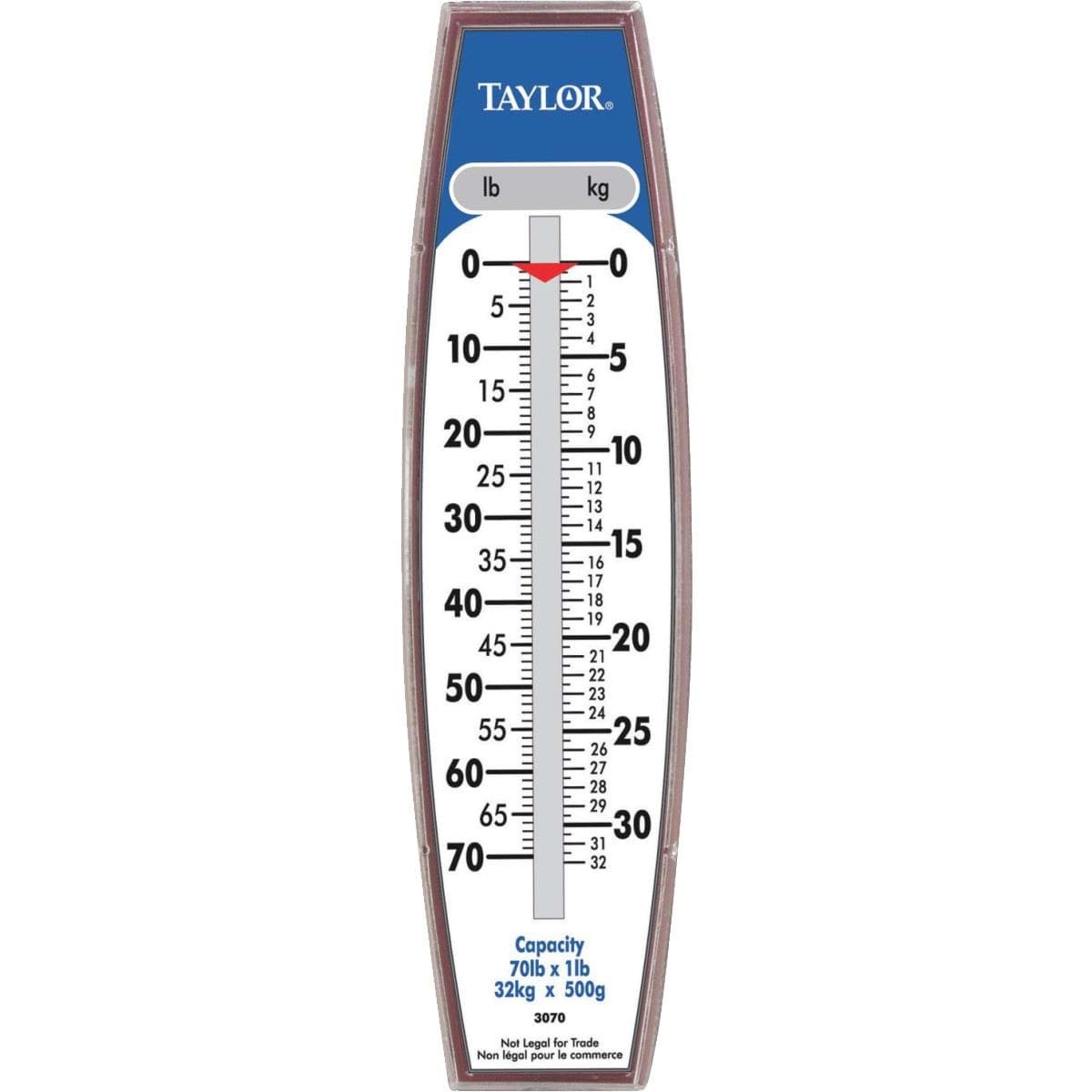 Picture of Taylor Steel Hook Hanging Scale