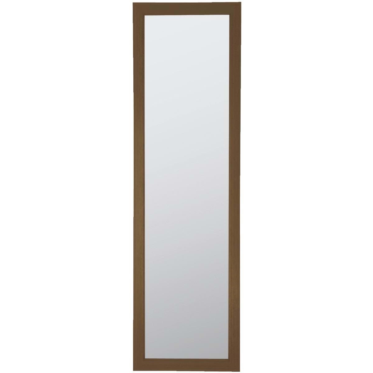 Picture of Home Decor Innovations Raven Framed Door Mirror