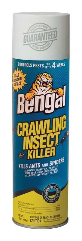 Picture of Pesticide Crawling Insect Bengal – Aerosol 