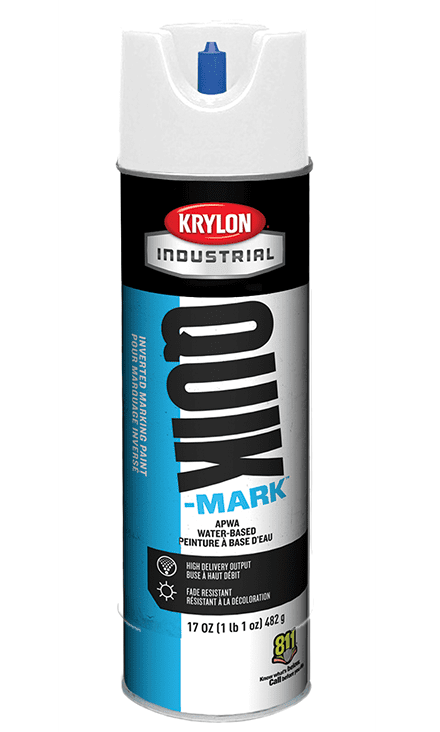 Picture of Paint Aerosol Marking Water Based Krylon – White Brilliant