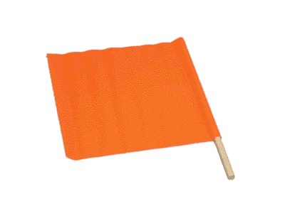 Picture of Flag Orange w/ Handle - 24"